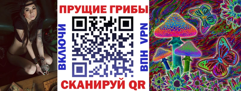 Галлюциногенные грибы GOLDEN TEACHER  Алексеевка 